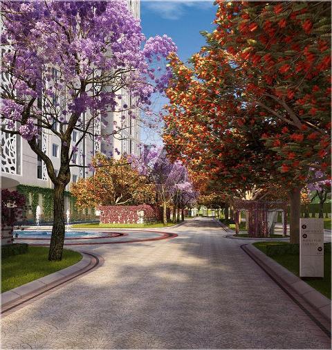 DLF The Camellias Banner