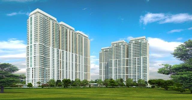 DLF The Camellias Banner