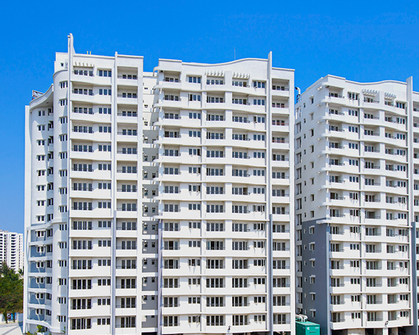 Purva Swanlake Update