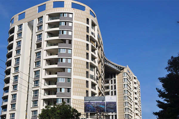 Brigade Caladium Update