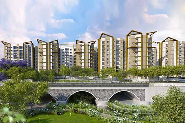 Brigade Meadows Plumeria Update