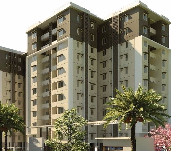 Provident The Tree Update