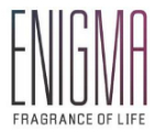 Ajmera Enigma Builder logo