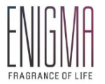 Ajmera Enigma Logo