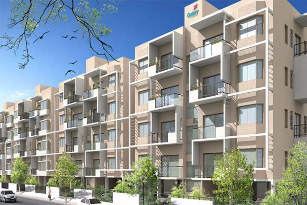 Century Linea Update