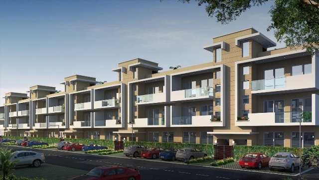 Central Park 3 Flamingo Floors Banner