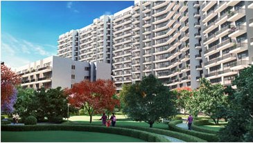 Signature Global Grand Iva Banner