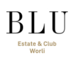 Indiabulls BLU Logo
