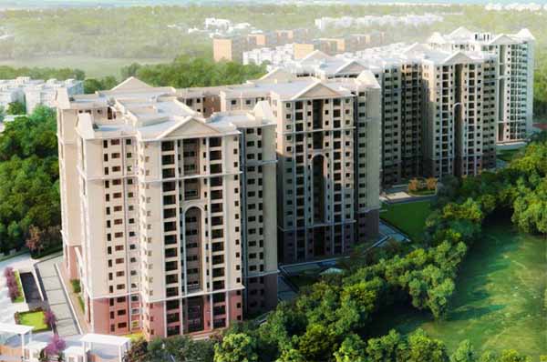 Skylark Royaume Update