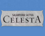 Salarpuria Sattva Celesta Logo