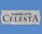 Salarpuria Sattva Celesta Logo