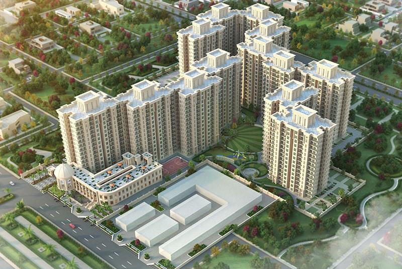 Signature The Serenas Banner