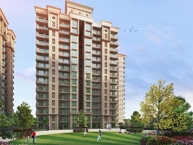 Signature The Serenas Banner