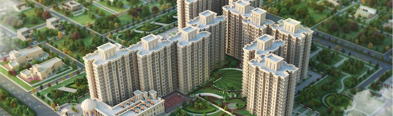 Signature The Serenas Image