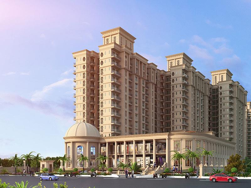 Signature The Serenas Image