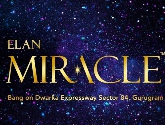 Elan miracle Logo