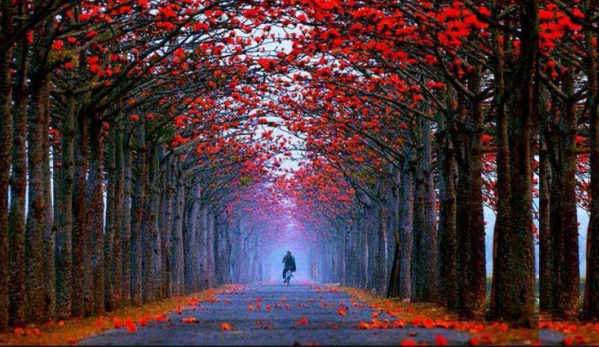 Godrej The Suites Image