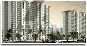 DLF Express Greens Banner