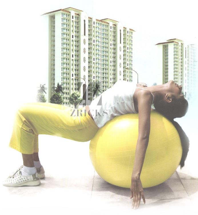 DLF Express Greens Banner