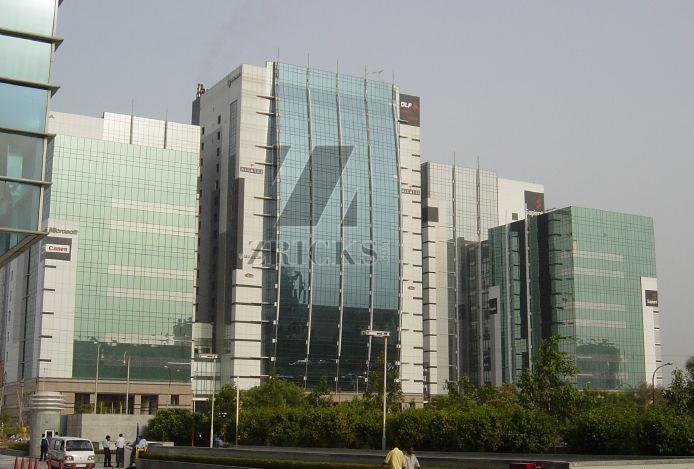 DLF Cyber Greens Banner