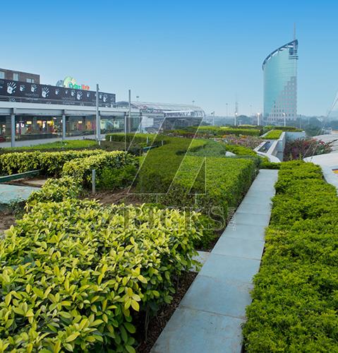 DLF Cyber Hub Banner