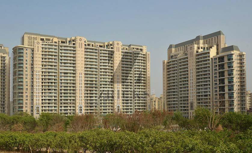 DLF The Magnolias Banner