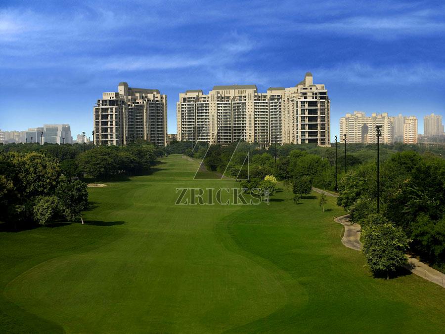 DLF The Magnolias Banner