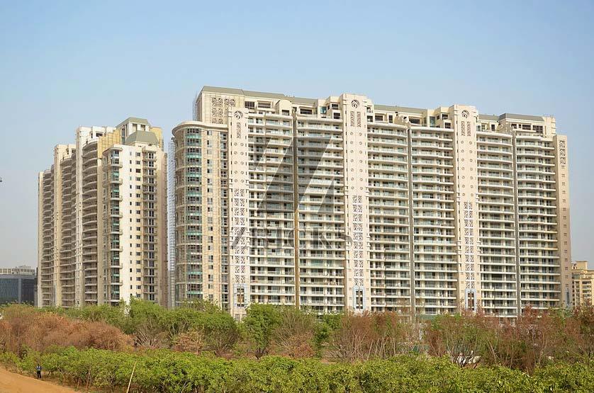 DLF The Magnolias Banner