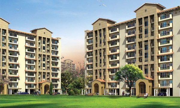  3  BHK  Apartment for sale in Emaar Palm Hills Gurgaon