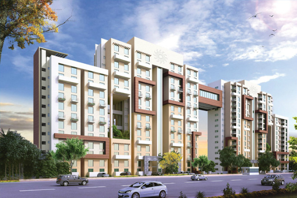 Paras Seasons Update