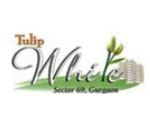 Tulip White Builder logo