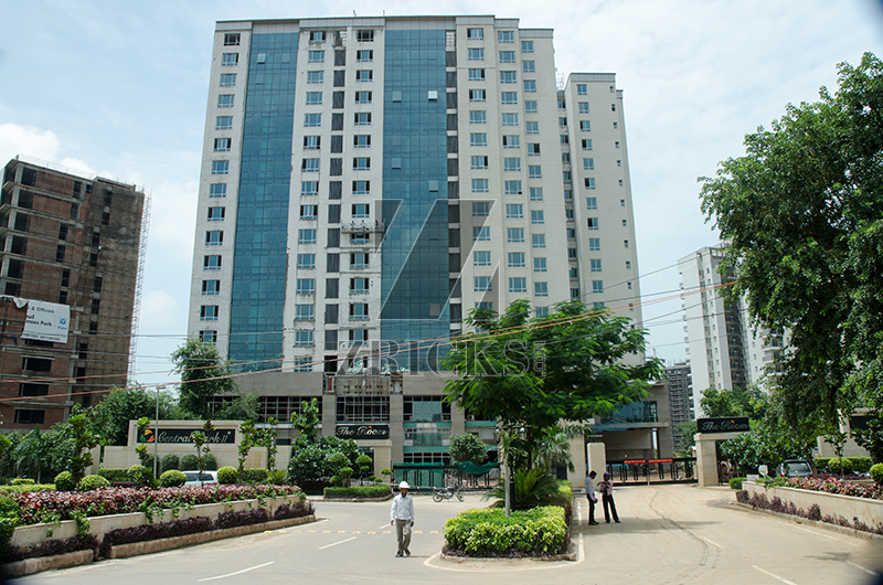Central Park II The Room Banner