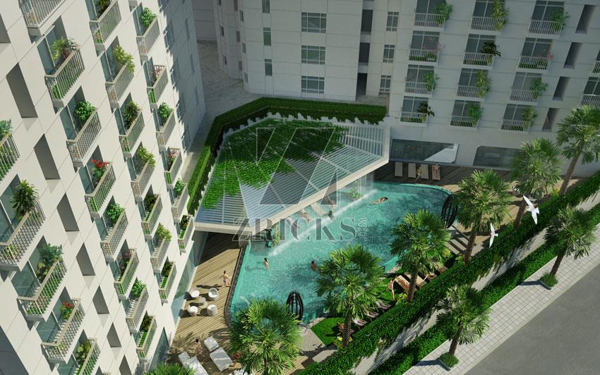 Central Park II The Room Banner