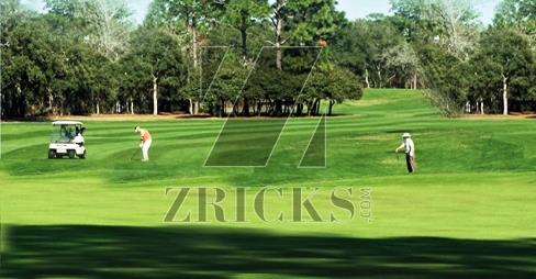 Central Park 3 Mikasa Plots Banner