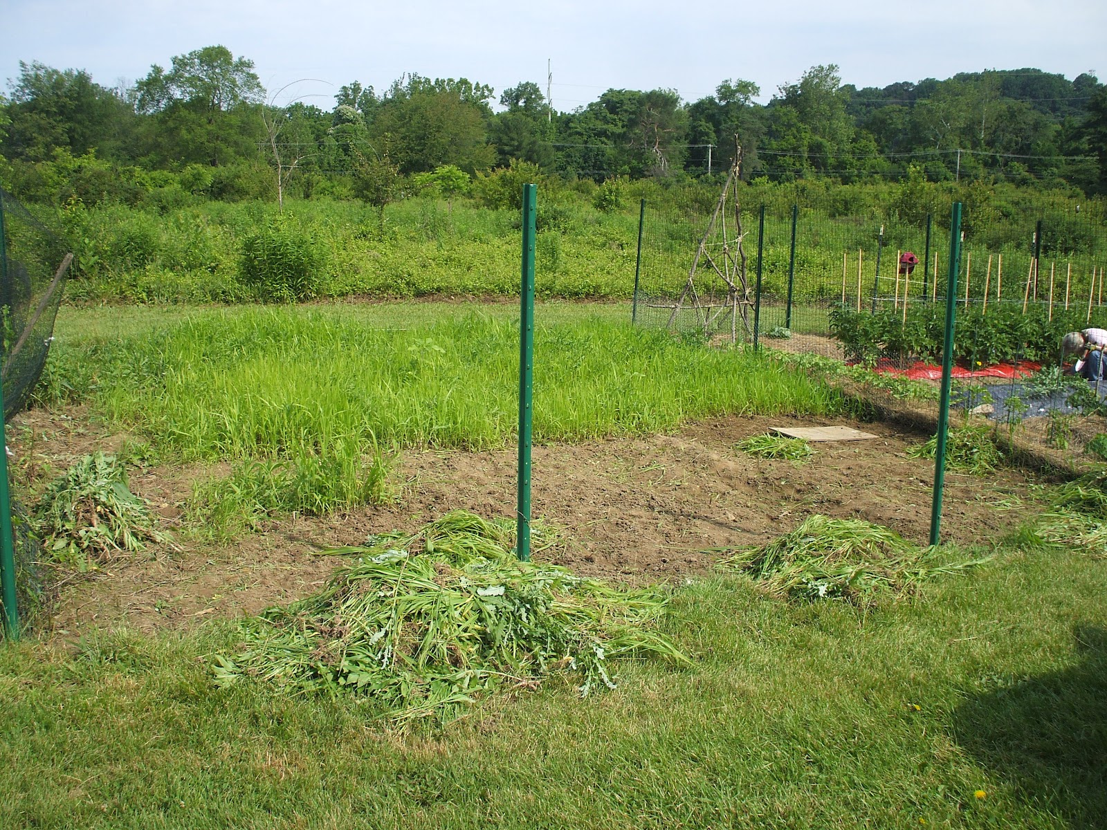 Panchsheel Park Colony Update