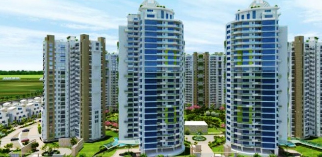 Logix Blossom Greens Update