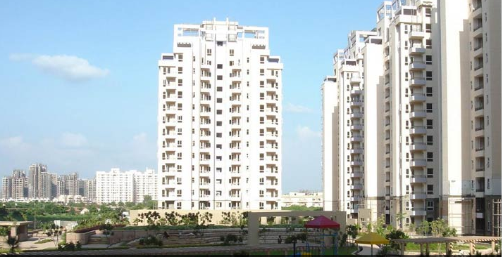 Orchid Petals Update