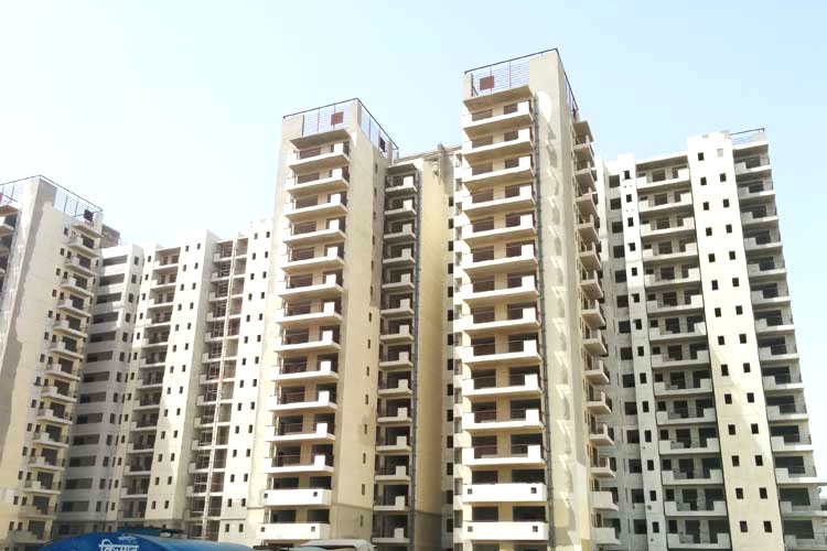 3 BHK Apartment For Sale in Corona Optus Gurgaon
