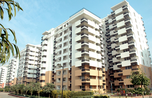 Sahara Grace about project