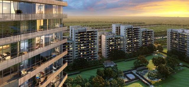 Ireo Skyon photo 1