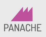 PS Srijan Panache Builder logo