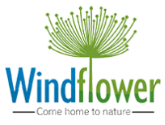 Signum Windflower Logo