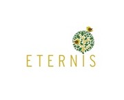 PS Srijan Eternis Builder logo