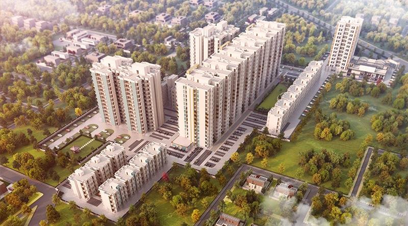 Signature Solera 2 Banner