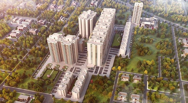 Signature Solera 2 Banner