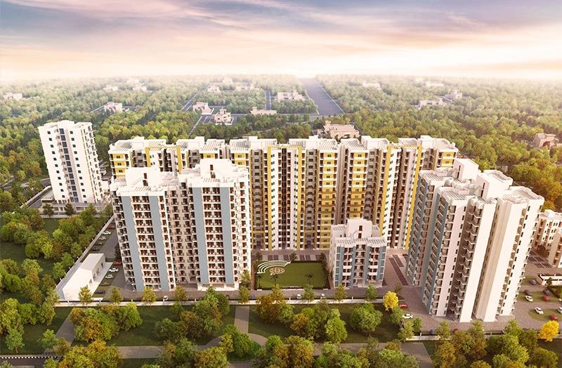 Signature Solera 2 Banner