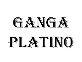 Ganga Platino Builder logo