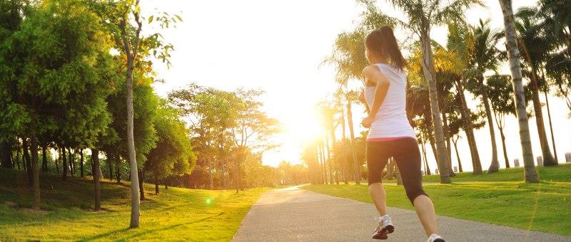 Shapoorji Pallonji Alpine Banner