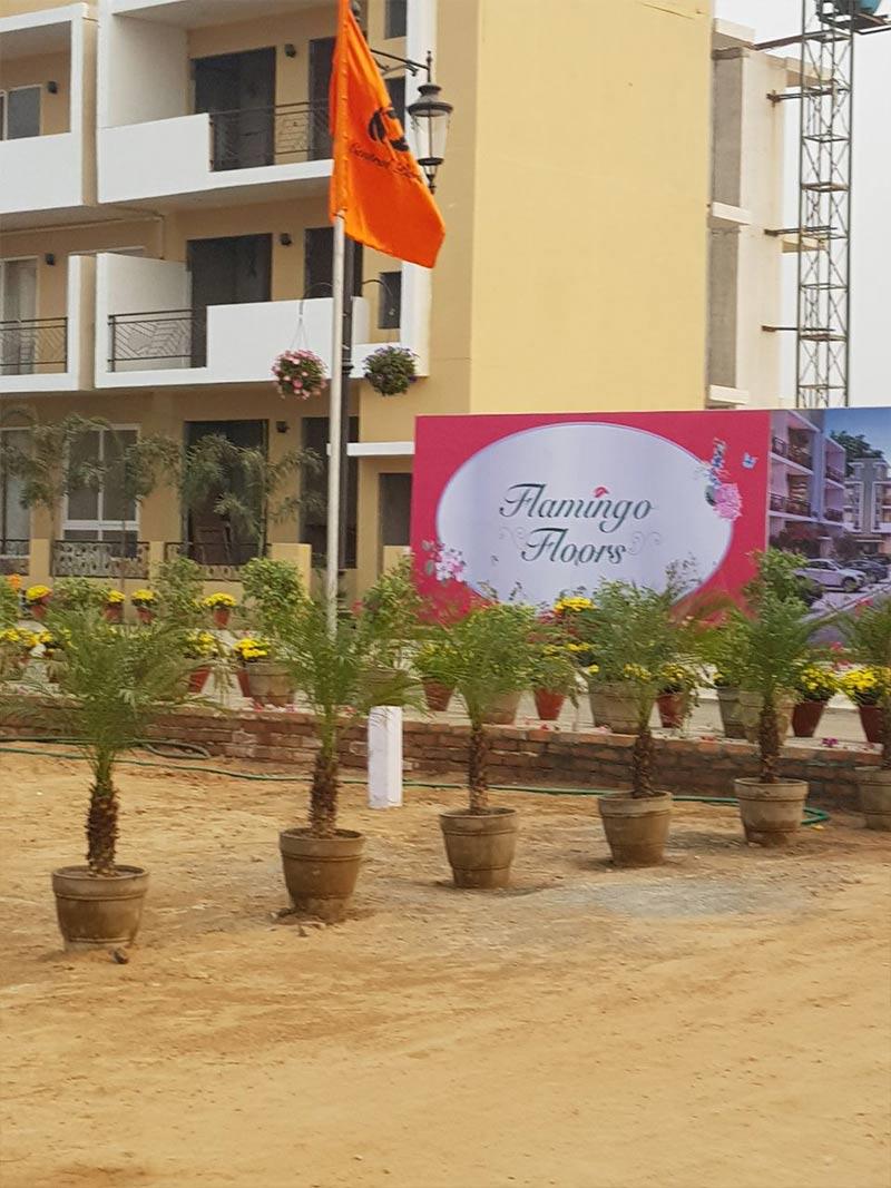 Central Park Flamingo Floors Image