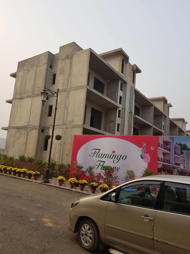 Central Park Flamingo Floors Image